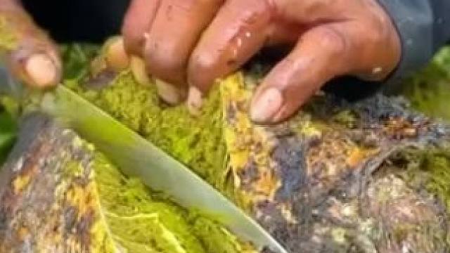 抹茶味的牛杂 #农村生活 #我的乡村生活 #原始美味 #农村美食