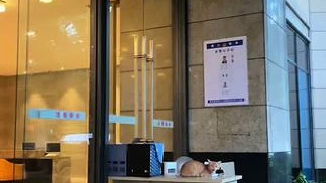 今天终于见到猫咪，三天没见到，这几天天天下大雨，担心的不行，刚给买的餐具也不见了，猫粮我是专门放在一