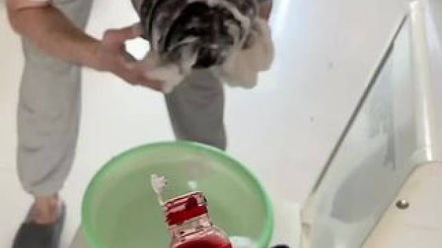 我发布了一个新视频，快来围观吧！