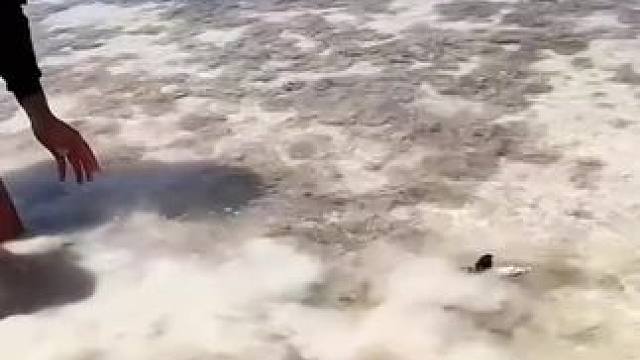 “最治愈人心的便是这世间山水，把心放任于天地间，所有的不知所措都会释怀”。#治愈系风景 #喜欢夏日生