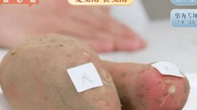 【新鲜红心蜜薯】现挖沙地红薯软糯香甜板栗蜜薯番薯地瓜5斤/9斤#蜜薯 #红薯 #红心蜜薯 #新鲜红心