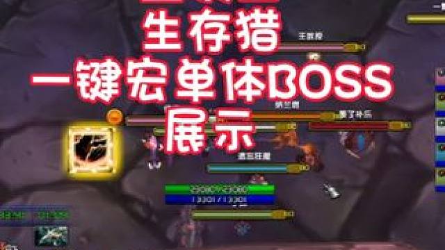 巫妖王 生存猎 一键宏单体BOSS 展示 #魔兽世界 #猪秀天