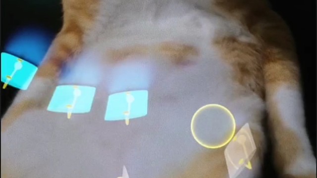 OMG！这只猫居然看得见～～