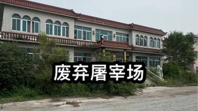 #户外探险 #屠宰场 #随拍