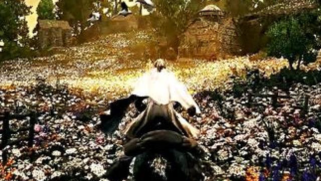 "多么奇妙的一段旅程啊"#艾尔登法环 #还得是主机大作 #游戏内容风向标