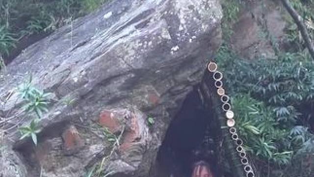 野外露营独居生活 #荒野建造 #野外建造 #庇护所