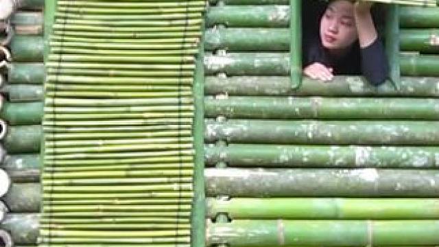 建造丛林竹屋过夜 #荒野建造 #野外建造 #庇护所