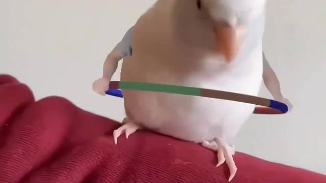 有趣的事分享给不敷衍的人