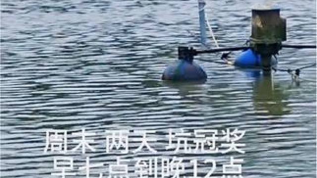 有没有钓鱼高手来拿坑冠的#钓鱼 #钓鱼人 #2024dou来钓鱼 #钓鱼