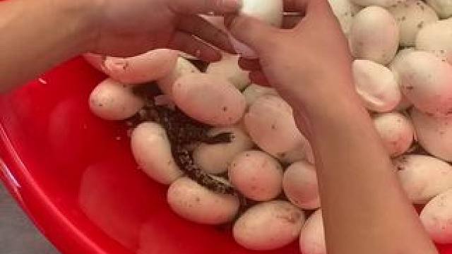 给大家开个盲盒…