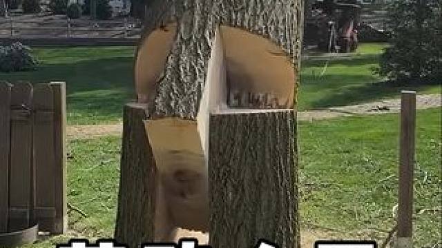 #劳动人民的智慧 #生活小妙招 #实用小技巧 #神操作 #高手在民间