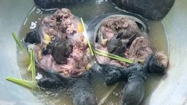 东南亚乡村美食 #我的农场生活 #山居生活 #分享异国风土人情 #甲鱼煲