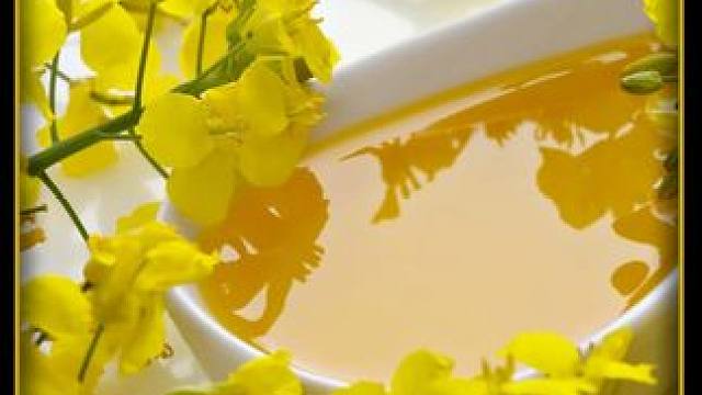 揭秘菜籽油的加工全过程！#科普一下  #制造原理  #造物工厂