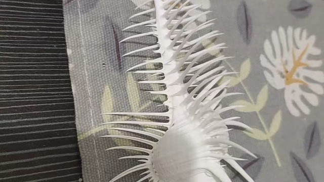 我发布了一个新视频，快来围观吧！