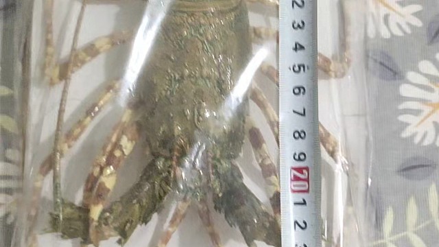 我发布了一个新视频，快来围观吧！