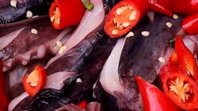 深海大鱿鱼配上秘制辣椒美味极了 #体验原生态美食的乐趣 #大自然的馈赠 #平淡治愈乡村生活 #大山里
