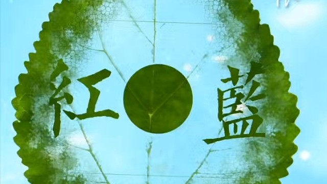 蓝蓝的天空
红红的太阳