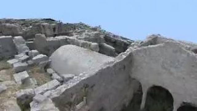 主页有我的世界手机版宝可梦 #我的世界 #我的世界版本连更