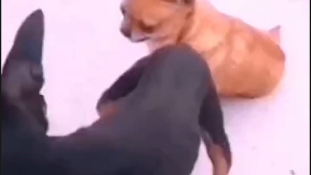 笑死人