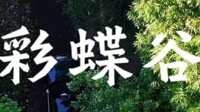 哈尔滨市阿城区彩蝶谷露营基地#哈尔滨露营地推荐 #旅行推荐官 #亲子游玩好去处 #黑龙江 #户外露营