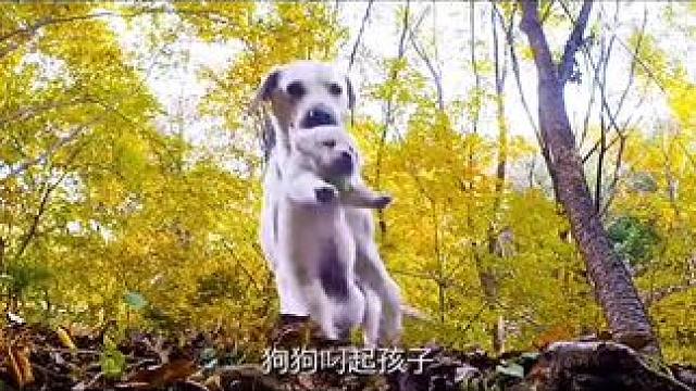 #关注我每天分享不同的故事