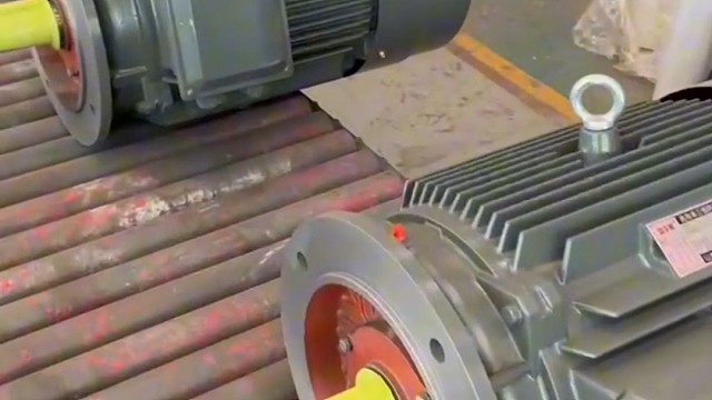 气质是一种味道，腹有诗书气自华。