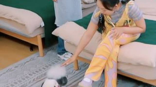 是不是只有孟子义养的狗，综艺感才这么强啊#五十公里桃花坞第4季 #暑期放映厅2024 #孟子义 #李