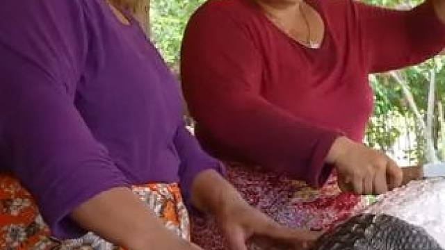 东南亚农场生活 #农村生活 #我的乡村生活 #乡村美食 #原始美味