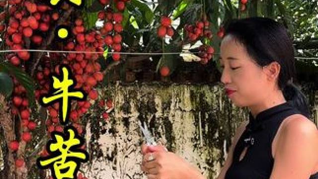 原汁原味的牛苦肠是咋个回事#牛肠 #苦肠 #地方特色美食 #双凤#农村生活