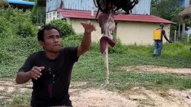 来 #农村生活 #我的乡村生活 #农村美食 #原始美味