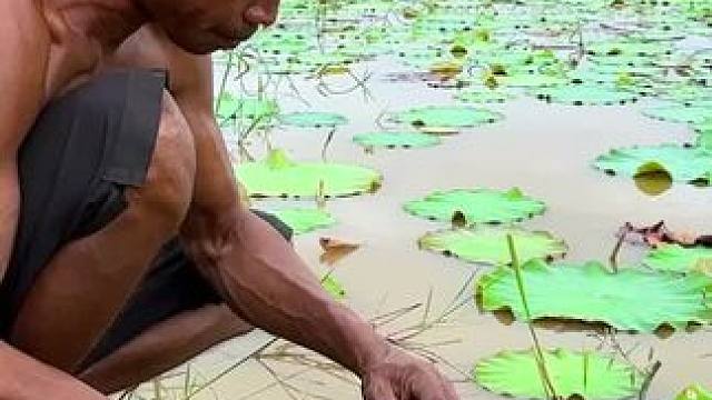 田鼠 #我的乡村生活 #农村生活 #农村美食 #原始美味