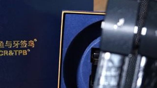 成功男人的皮带，超有型！ #鳄鱼皮带 #男士腰带 #源头工厂 #皮带