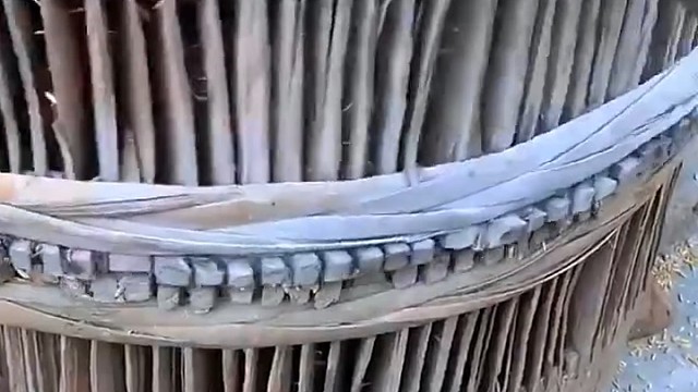 稻子剥壳成糙米