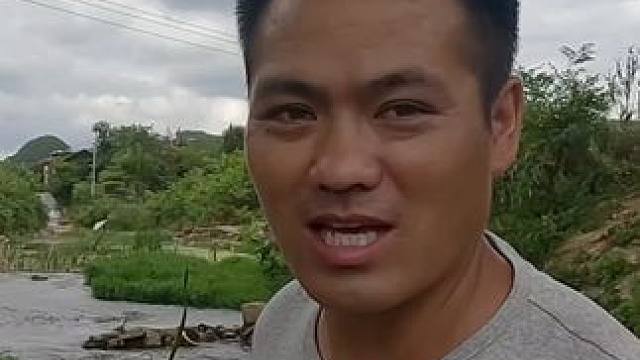 今年第一次捡螺蛳，就在附近小河边随便捡点，拿回去搞八加一。#螺蛳 #新农人计划 #山货上头条 #户外