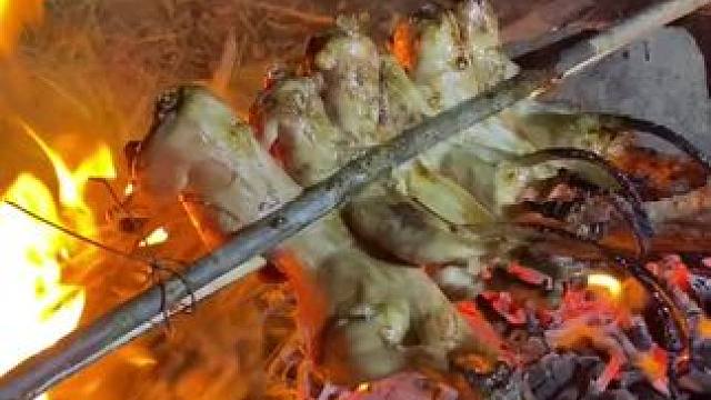 碳烤田鼠 #我的乡村生活 #农村生活 #农村美食 #原始美味 #夏天的味道