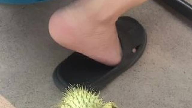 我发布了一个新视频，快来围观吧！