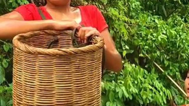 寻找橙子和在河里抓鱼煮食物吃