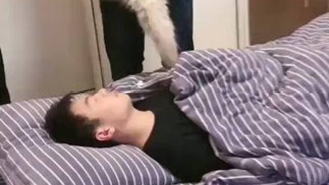 我发布了一个新视频，快来围观吧！