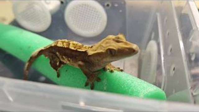 #随拍记录生活 #吃货的世界唯有美食不可辜负 #吃好喝好开心就好