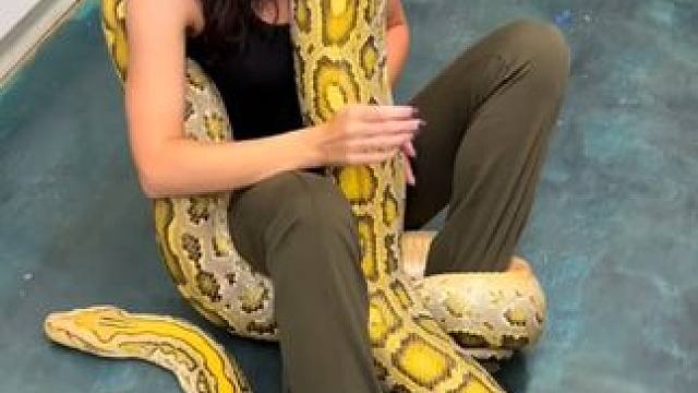 国外美女的宠物 #国外视频分享 #国外合法拍摄 #宠物