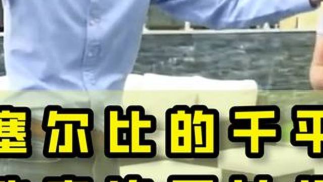 参观塞尔比的千平豪宅，在泳池旁边可以打台球，奖杯摆满整个房间