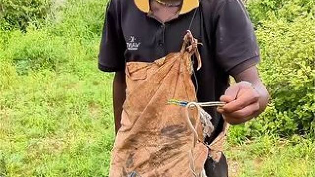 原始部落偶遇小辣条将它放回大自然 #原始技术 #荒野求生 #纪录片解说