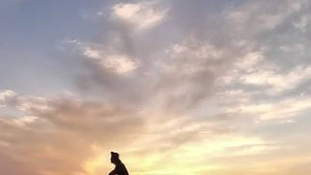 骑行内蒙古去新疆，天黑赶夜路到驿站结果不让露营，只能草地过夜#骑行vlog #让骑行成为一种生活 #