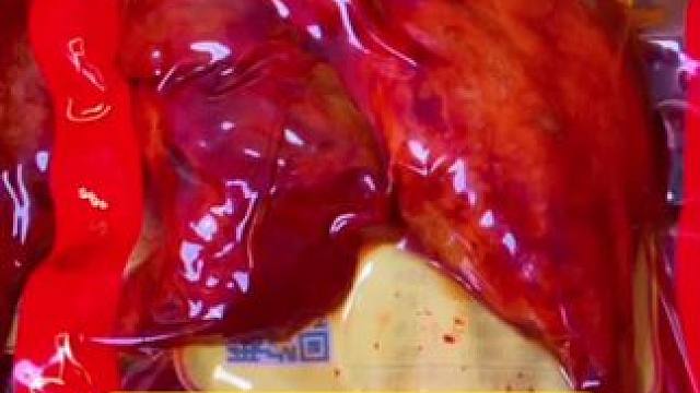 乡巴佬大鸭腿#卤味熟食 #鸭货美食 #开袋即食 #零食推荐 #解馋