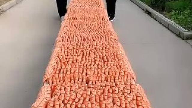 大人小孩都爱吃的烤虾干，肉质紧实，非常有嚼劲，饱腹感特别强，饿了来两只特别满足##九节虾干 #烤虾 