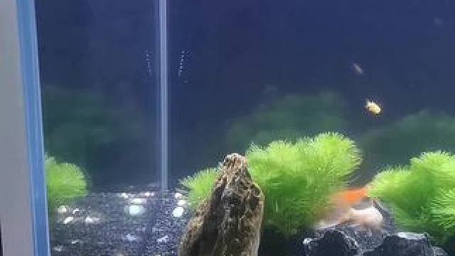 行情不好，恼火的人多着呢！田里咱有谷子，地里有蔬菜，树上有果子，村里有房子不交房租，慌啥子