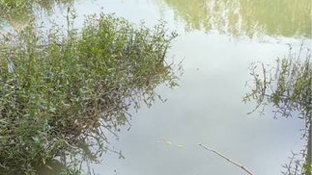 钓鱼的乐趣只有钓鱼人懂~