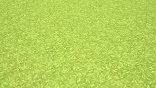 主页有我的世界手机版宝可梦 #我的世界 #我的世界版本连更