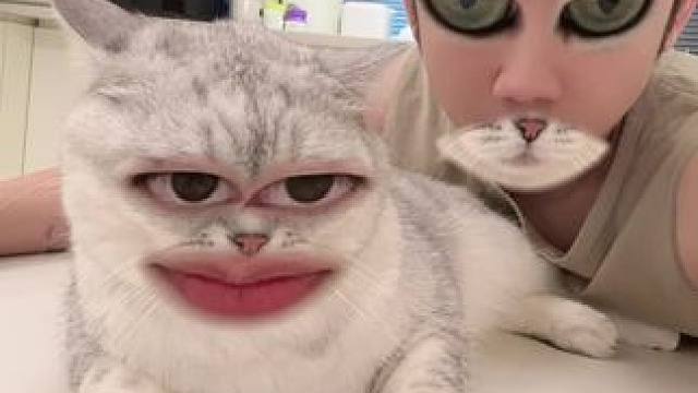 上一秒嘻嘻，下一秒不嘻嘻 #和猫换脸 #换脸特效