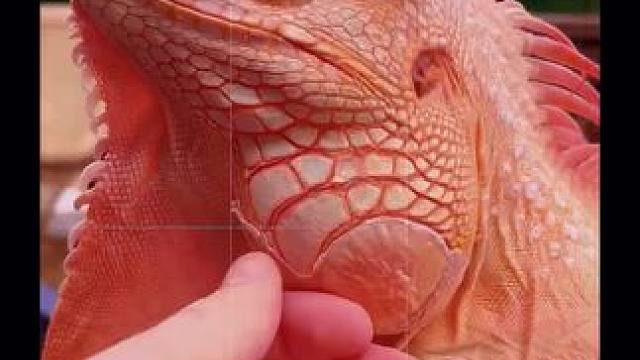 我发布了一个新视频，快来围观吧！